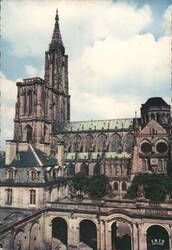 Strasbourg Cathedral from Rohan Palace Postcard