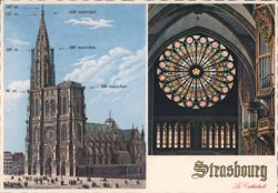 Strasbourg Cathedral: Architectural Details & Rose Window Postcard