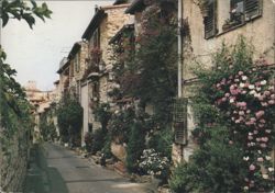 Flower-lined Street, Haut Castelet, Antibes Postcard