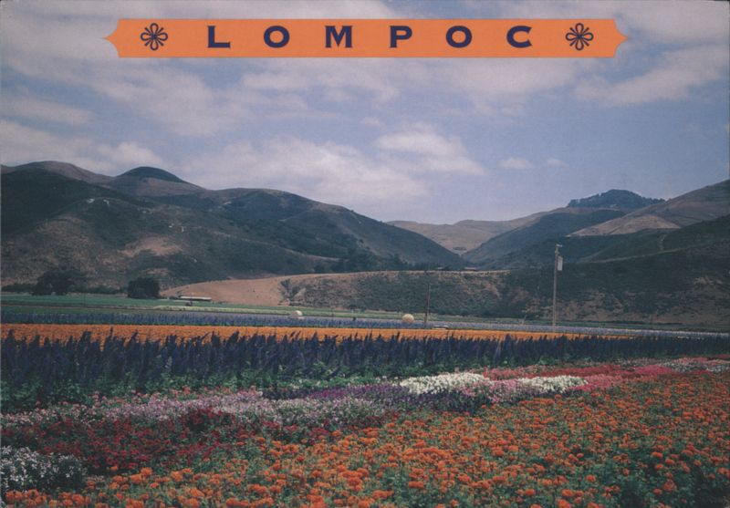 Lompoc Flower Fields with Mountains California Buddy Moffet
