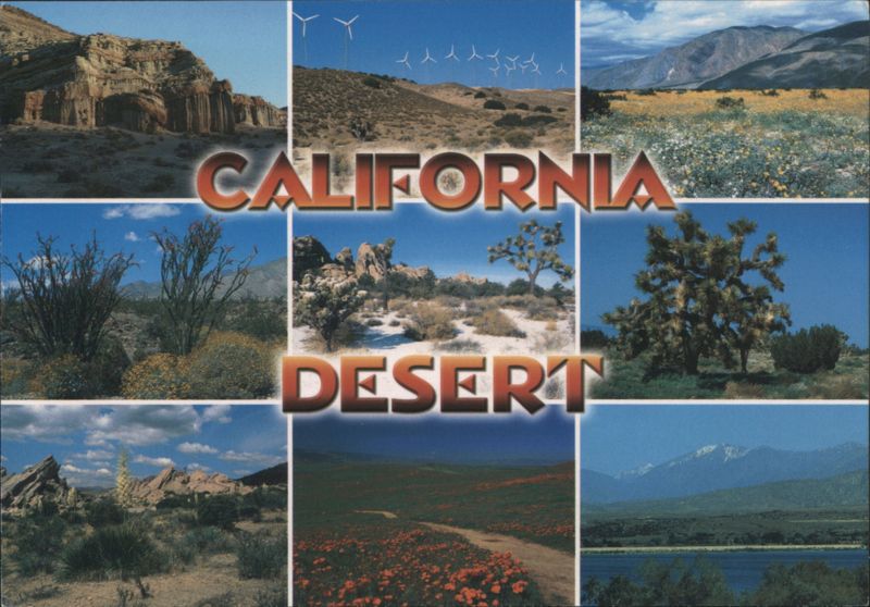 California Desert Landscapes Tim Sumner, Justine Hill, John Cooper, Richard 'Doc' Rioux