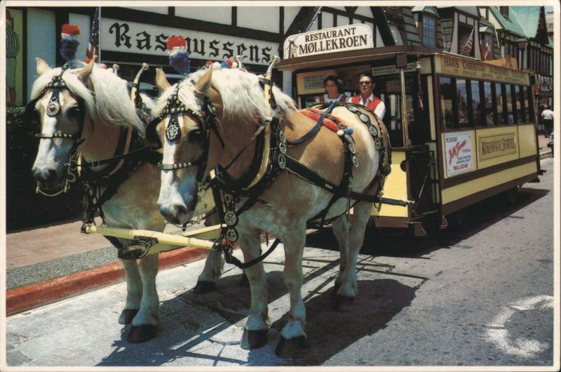 Belgian Draft Horses Pulling Danish Trolley in Solvang California