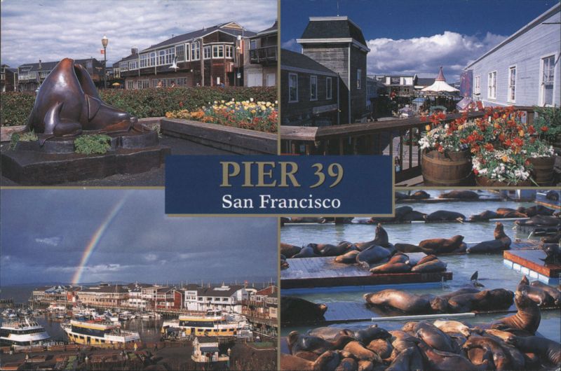Pier 39, San Francisco Views California Ken Glaser, Jr.