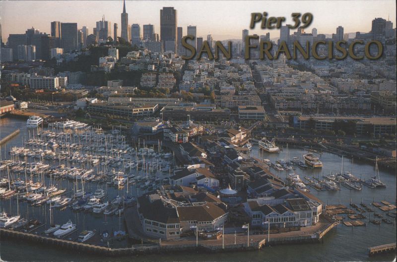 Pier 39 San Francisco Aerial View with City Skyline California