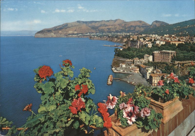 Sorrento Panorama and Punta Scutari with Geraniums Italy
