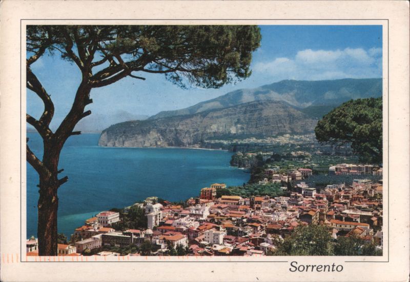 Panoramic Coastal View of Sorrento with Large Tree Italy