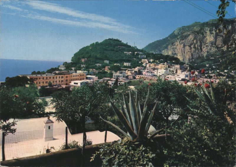 Capri Panoramic View from Windsor Hotel Italy
