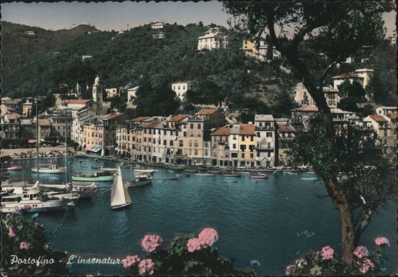 Portofino Inlet with Harbor and Hillside Buildings Italy