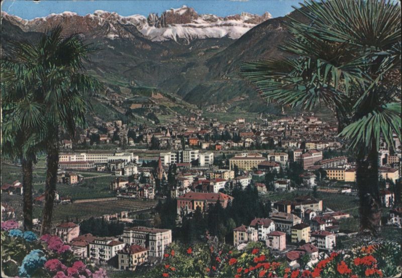 View of Bolzano with Catinaccio Mountains and Palm Trees Italy