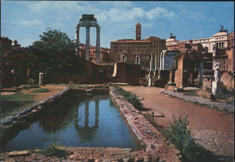 Roman Forum and Reflecting Pool, Rome Italy