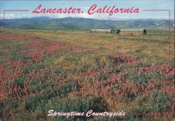 Lancaster, California - Springtime Countryside Postcard