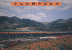 Lompoc Flower Fields with Mountains Postcard