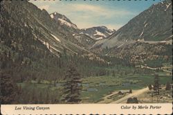 Lee Vining Canyon, California Postcard