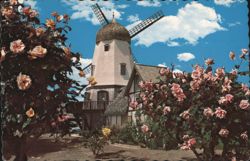 Windmill and Rose Garden in Solvang, California Postcard