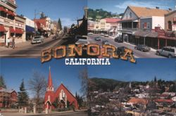Sonora, California Views Postcard