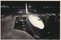 Howard Hughes Spruce Goose Seaplane, Long Beach, CA Postcard