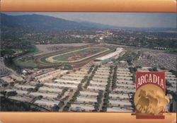 Aerial View of Santa Anita Park Racetrack Postcard