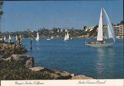 Newport Harbor Entrance Channel Sailboats Postcard