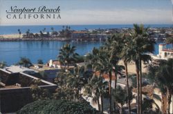 Newport Bay view in Newport Beach, California Postcard