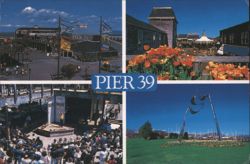 Pier 39, San Francisco, Shops and Attractions Postcard