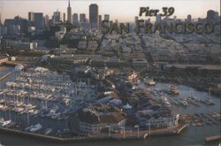 Pier 39 San Francisco Aerial View with City Skyline Postcard