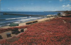 San Clemente Beach and Pier from Geranium Bluff Postcard