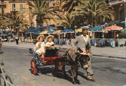 Donkey Cart Ride on Rapallo Promenade Postcard