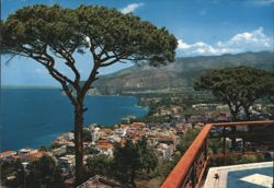 Sorrento Panorama with Large Tree Overlooking Bay Postcard