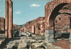 Pompeii Excavations - Vesuvius Street and Castellum Aquae Postcard