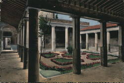 House of the Silver Wedding, Pompeii Postcard