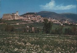 Assisi Panoramic View with Basilica and Wildflowers Postcard
