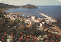 Macinaggio Harbor View with Flowers Postcard