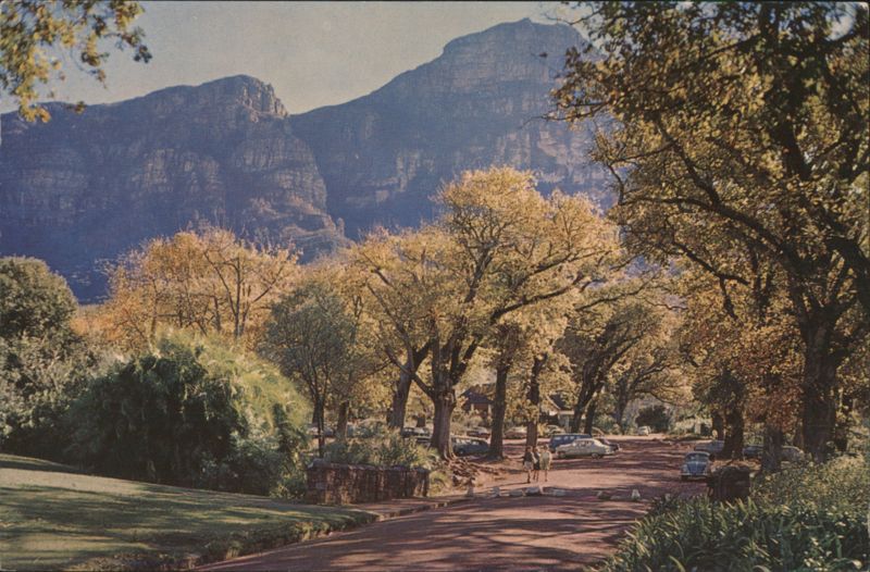 Kirstenbosch Gardens, Liesbeek River & Mountains Cape Town South Africa