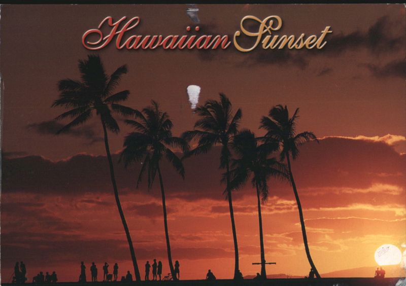 Hawaiian Sunset with Palm Trees and Figures