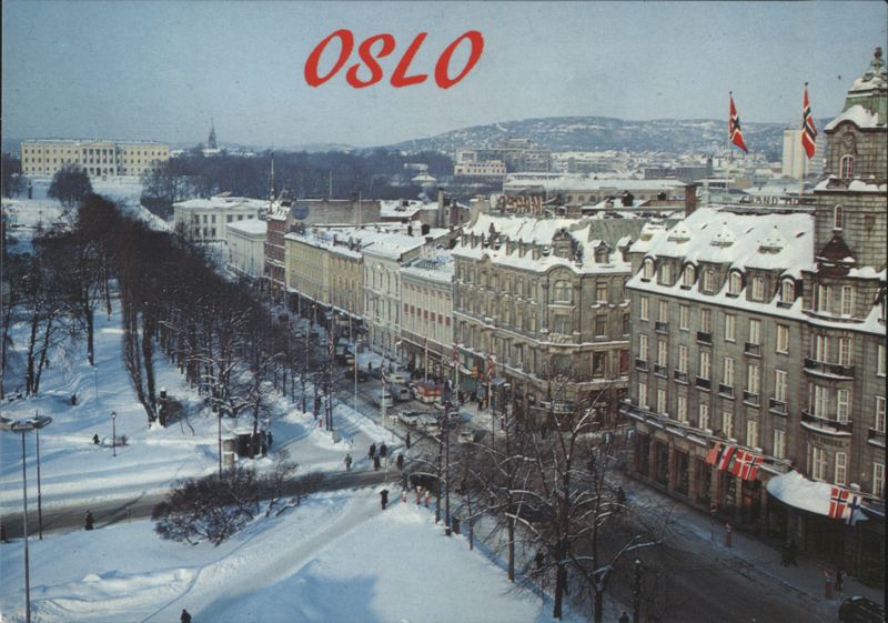 OSLO - Karl Johan Avenue in Winter Norway Mittet Foto