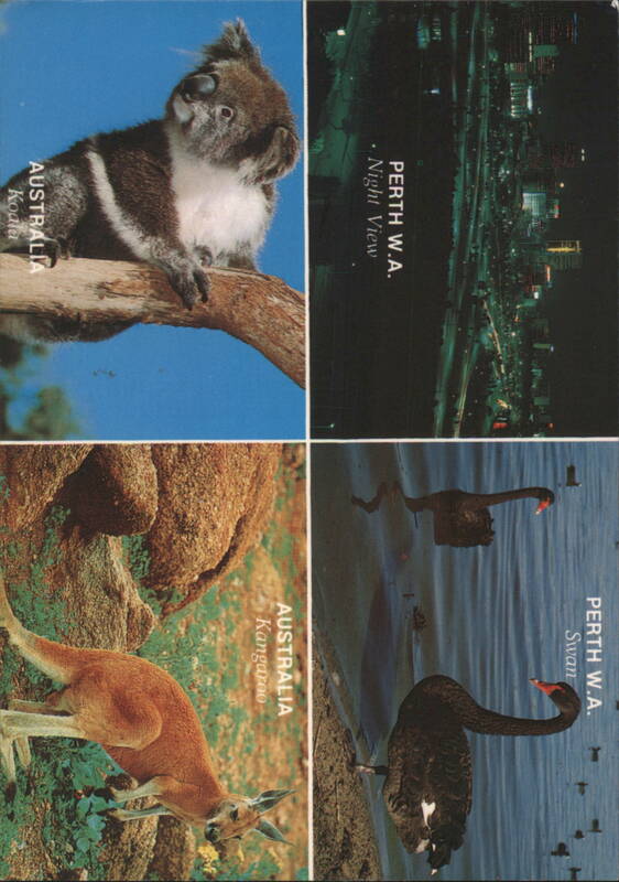 Koala, Perth Night View, Kangaroo, and Black Swan Washington Australia
