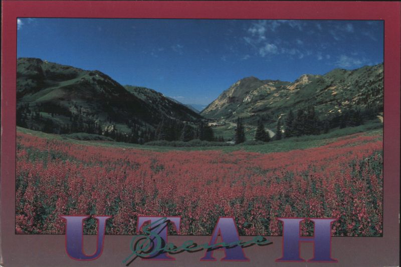 Deer Valley, Utah with Red Wildflowers ROD MILLAR