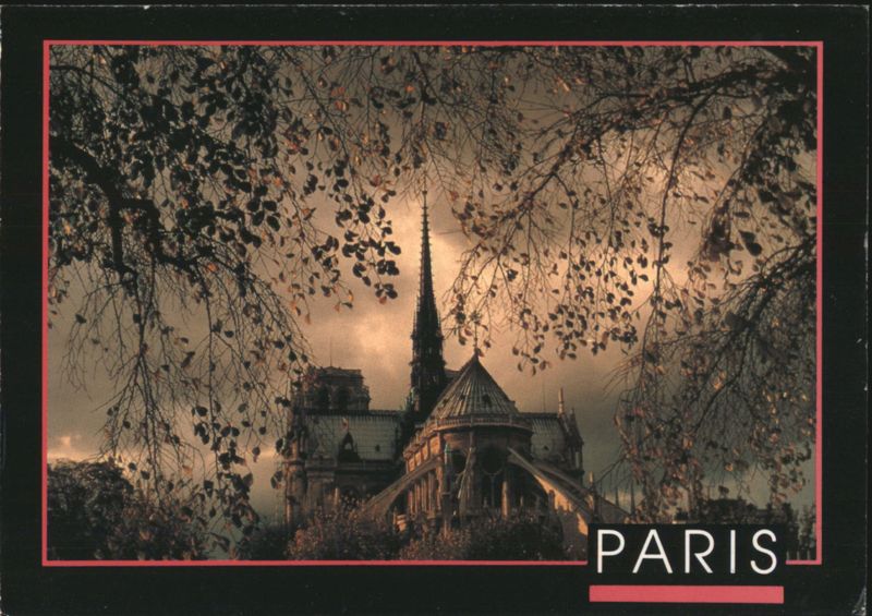 Notre Dame Cathedral with Autumn Trees, Paris France