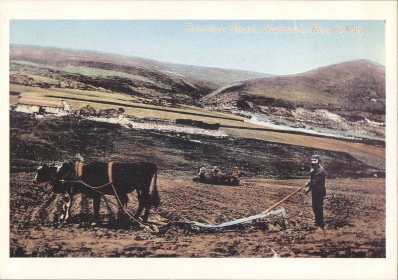Primitive Plough, Rackwick, Hoy, Orkney Scotland