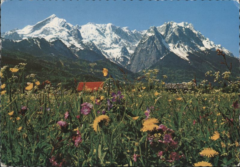 Zugspitzgruppe from Garmisch-Partenkirchen with Wildflowers Germany