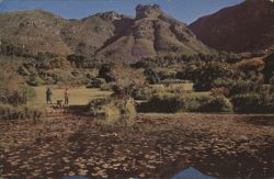 Kirstenbosch Castle Rock Fish Pond Cape Town Chrome Postcard Postcard
