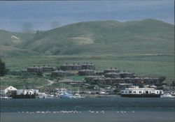 The Inn at the Tides, Bodega Bay, California Postcard