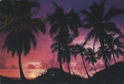 Beautiful Hawaii! Tropical Sunset Postcard