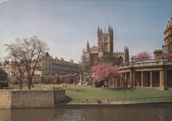Bath Abbey and Parade Gardens with Cherry Blossoms Postcard