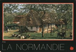 Normandy Thatched Roof Farmhouse with Apple Trees Postcard