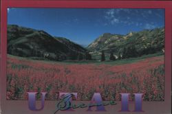 Deer Valley, Utah with Red Wildflowers Postcard