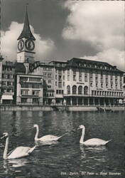 Zürich: St. Peter Church, Hotel Storchen, and Swans Postcard
