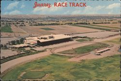 Juarez Race Track, Aerial View Postcard