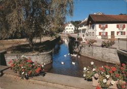Bad Wörishofen: Am Mühlbach with Swans and Flowers Postcard