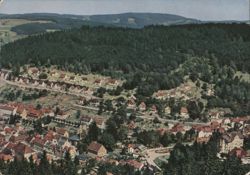 Triberg (Schwarzwald) Panoramic View Postcard
